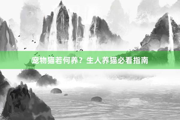 宠物猫若何养?生人养猫必看指南