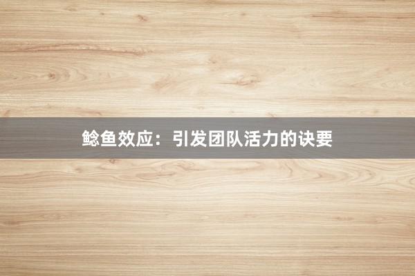 鲶鱼效应：引发团队活力的诀要